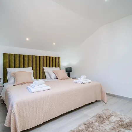 Npm بيت ضيافة