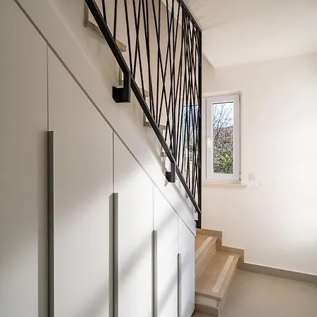 בית הארחה Npm